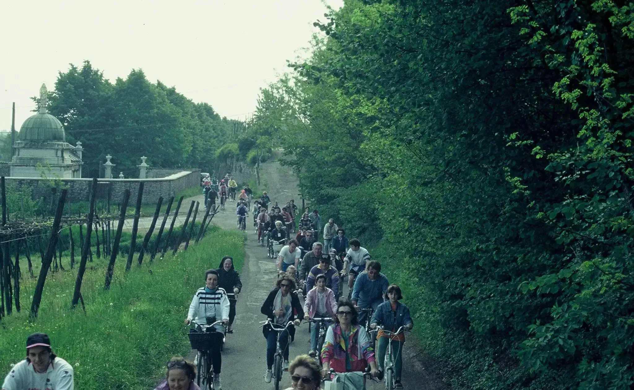 BICICLETTATA000046