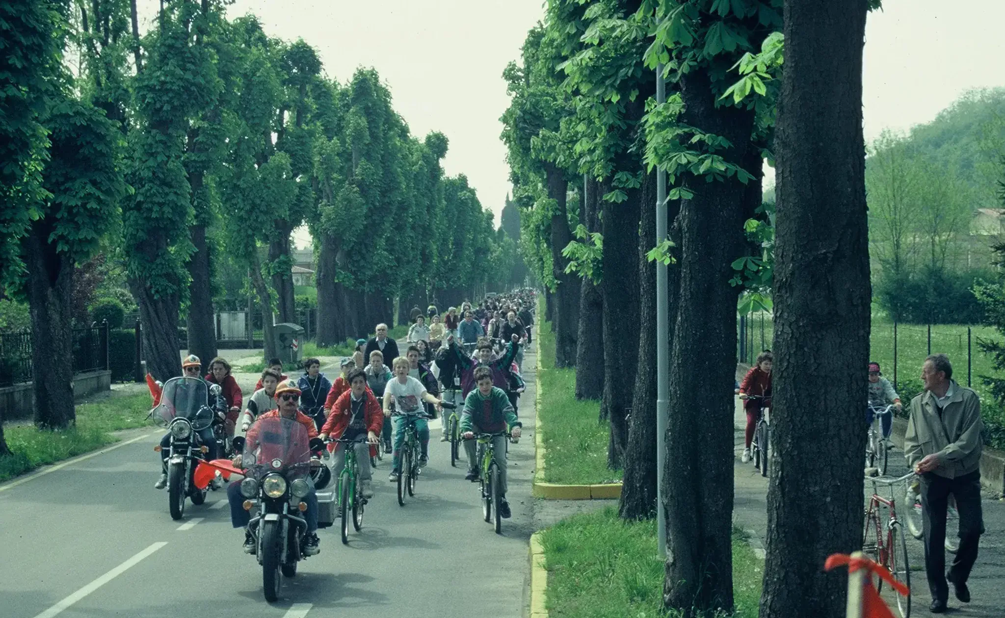 BICICLETTATA000047