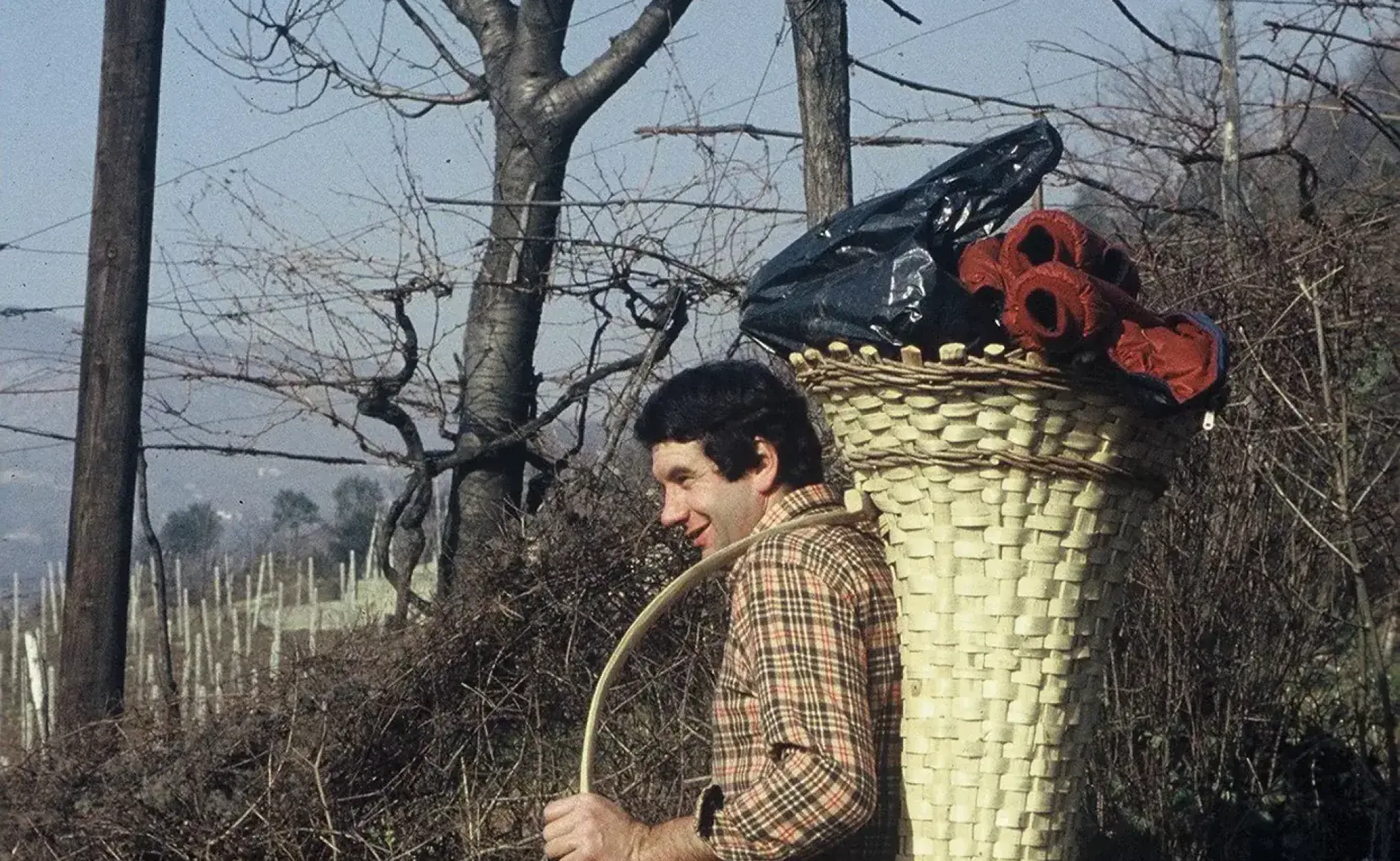 GIORNATA ALBERI000039