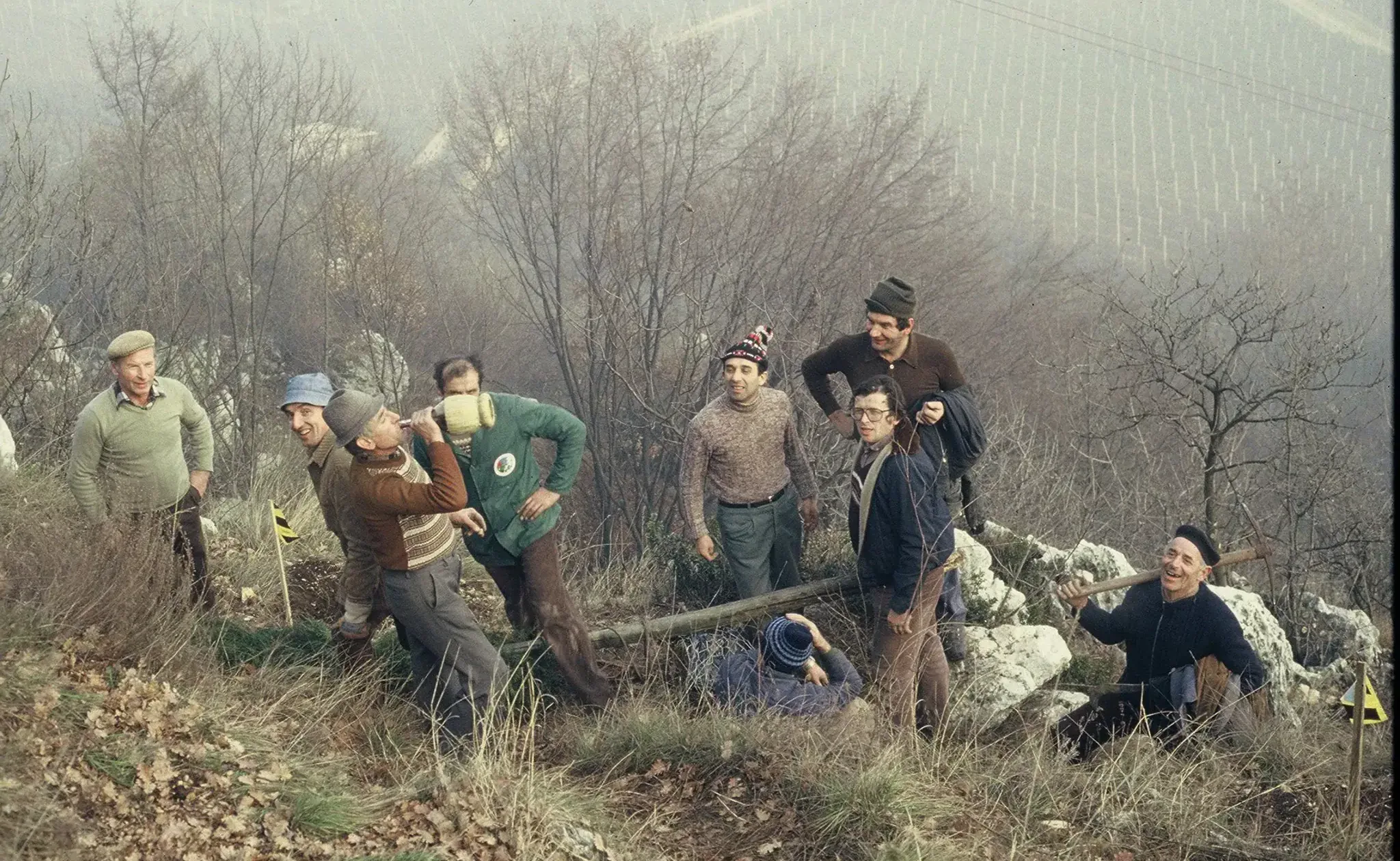 GIORNATA ALBERI000050