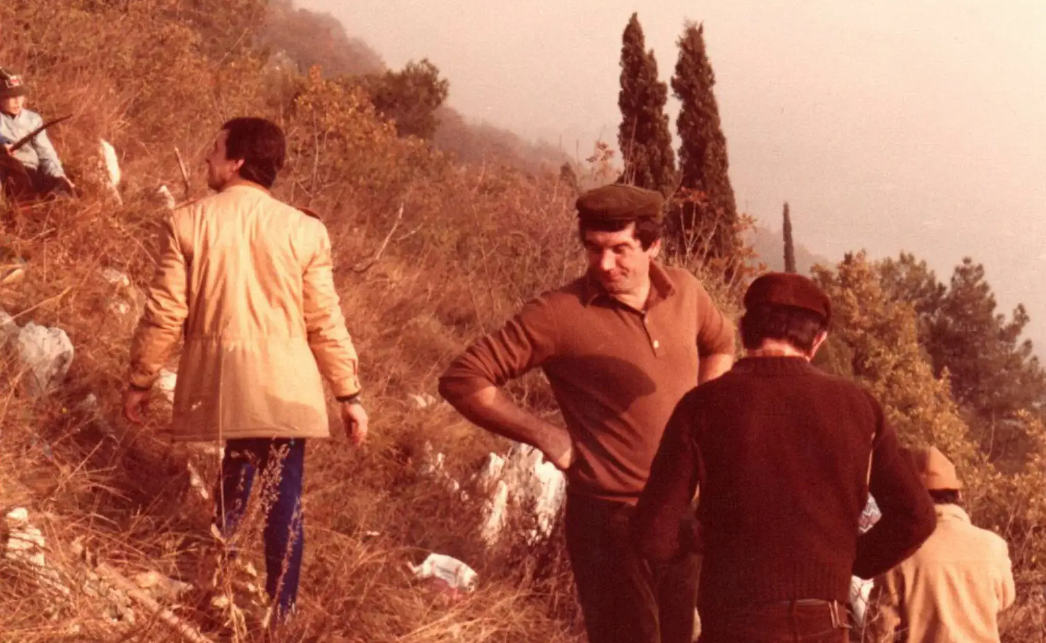 Giornata degli alberi 1983img20241129_21364045