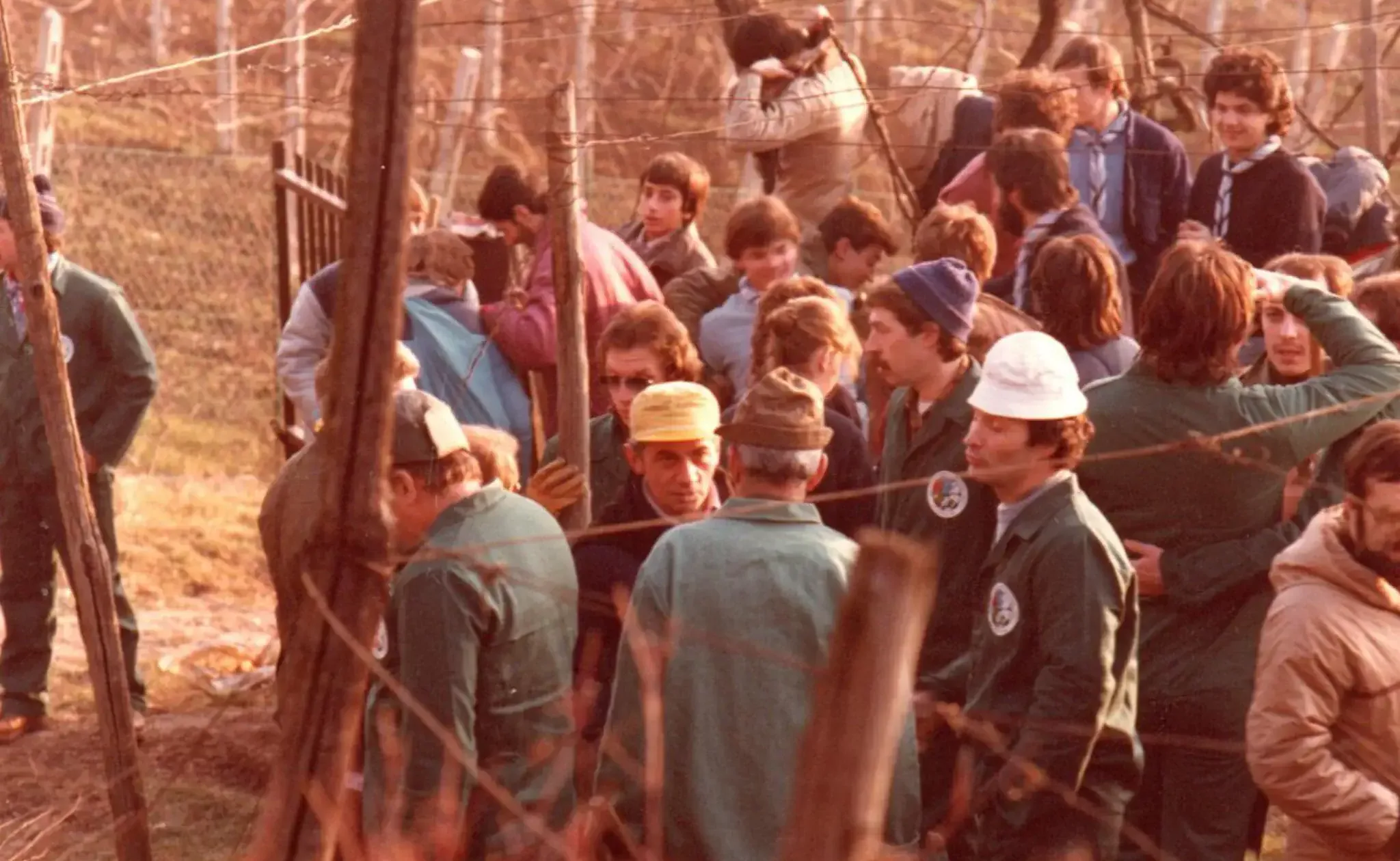 Giornata degli alberi 1983img20241129_21392604