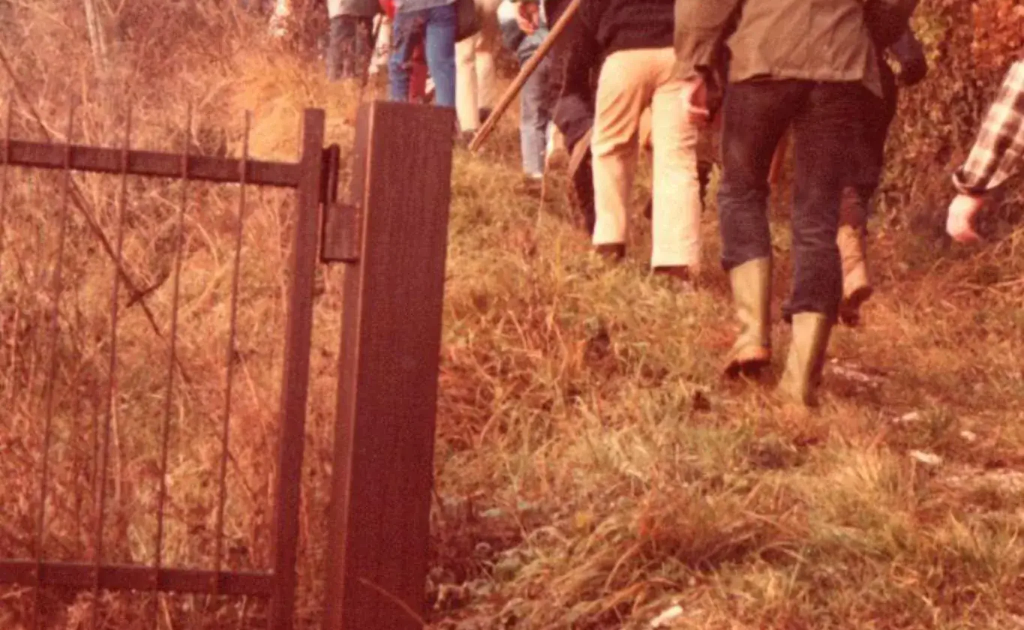 Giornata degli alberi 1983img20241129_21441989