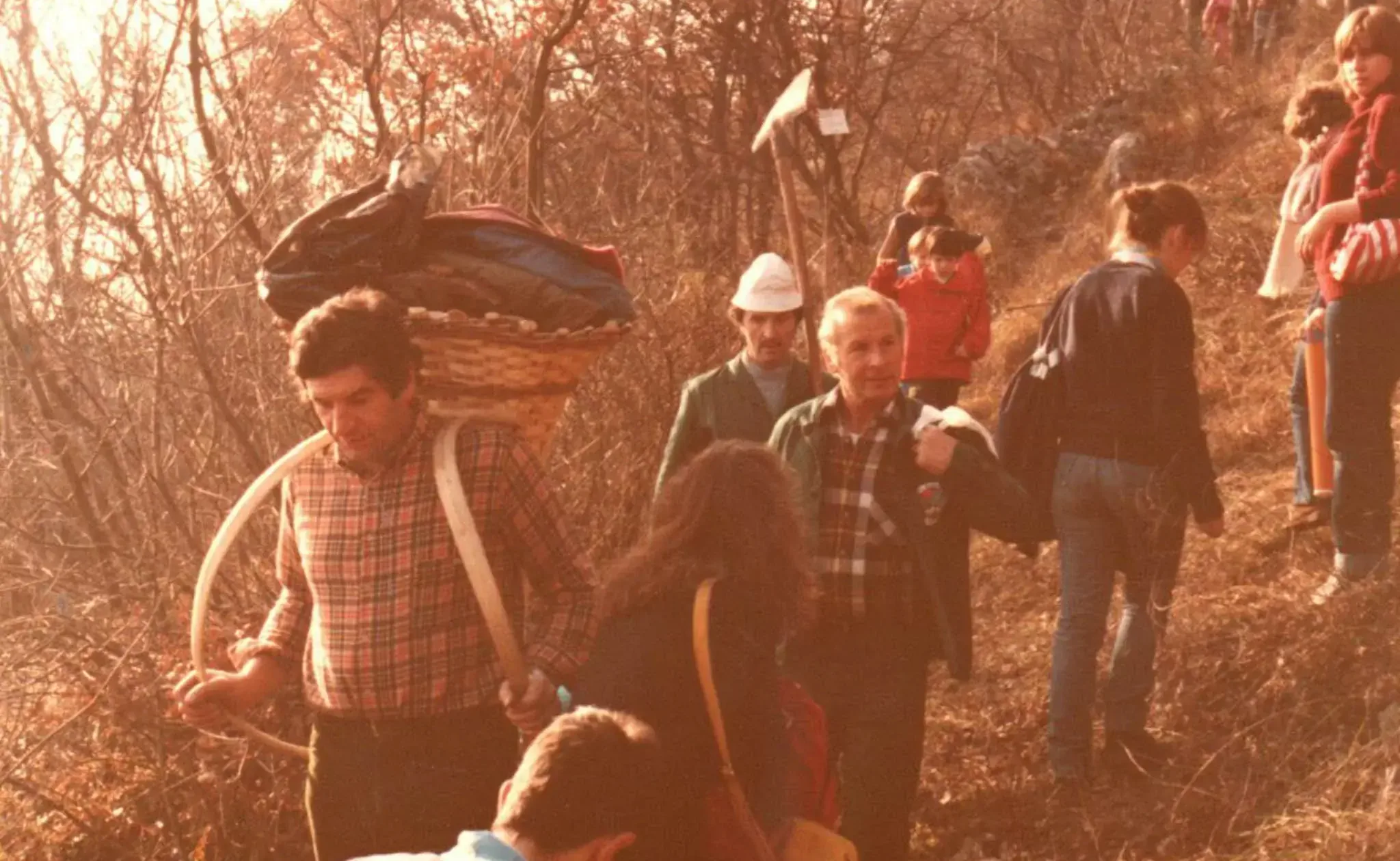 Giornata degli alberi 1983img20241129_21451733